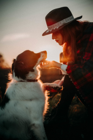 Photos grossesse animaux chien golden hour Genève